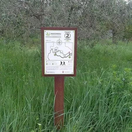 Nel Centro Storico